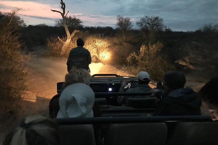 Night Safari